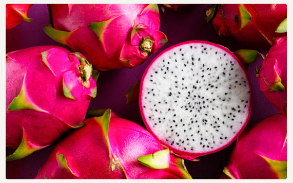 linha puro cuidado ingredientes pitaya produtos veganos