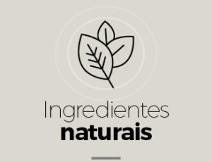 linha physalis phisalia produtos veganos vegetais cosmeticos banho cabelos corpo pele ingredientes naturais