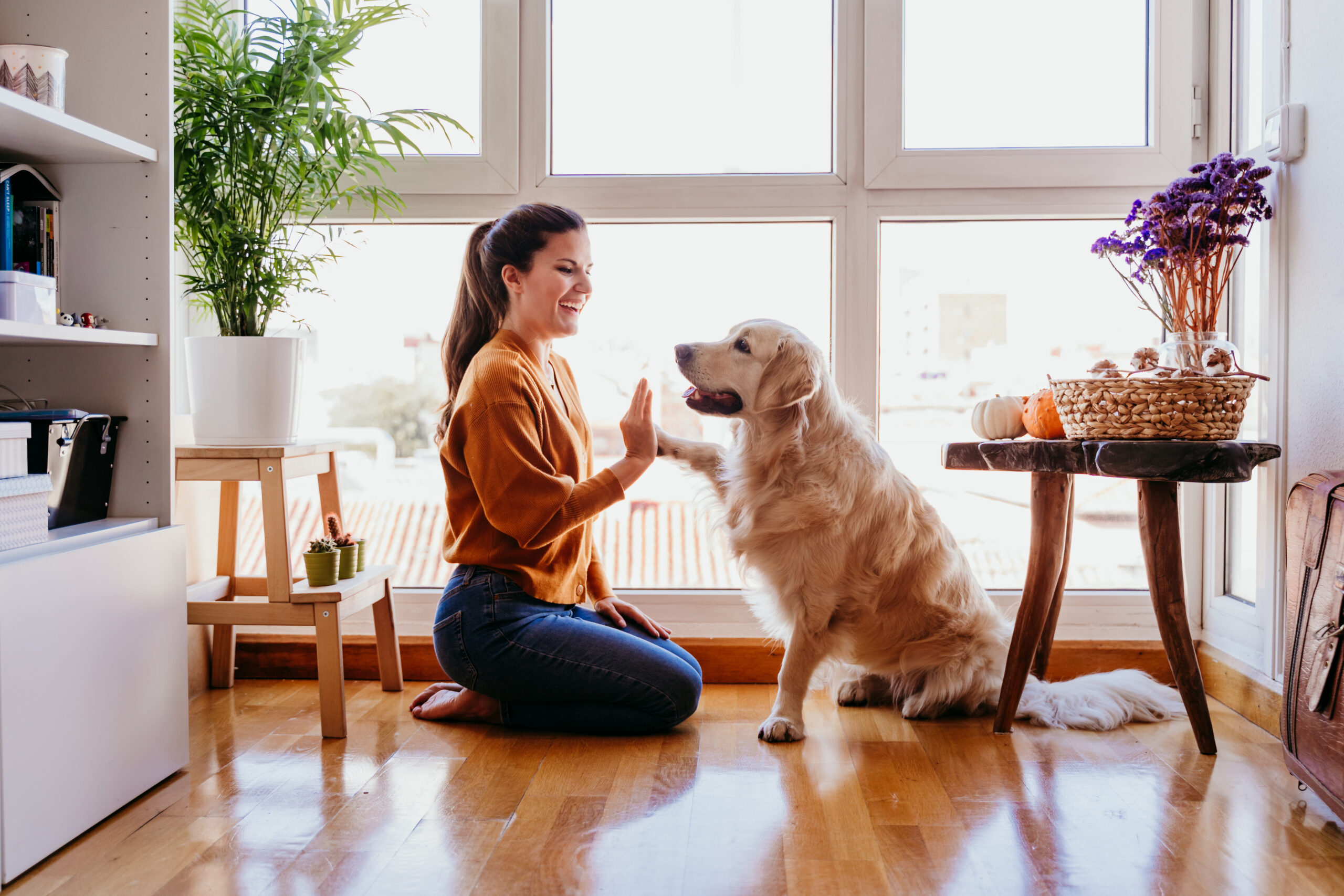 blog-physalis-alternativas aos testes em animais-phisalia-vegetais-veganos